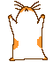 GIF of the dancing hamster