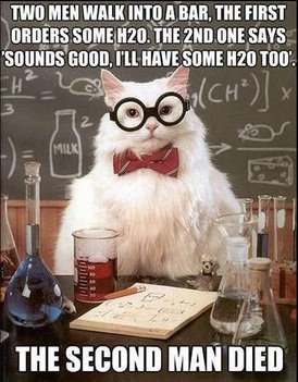 Creator Unknown / via "FYeah Chemistry Cat":http://fyeahchemistrycat.tumblr.com/post/9385218692 