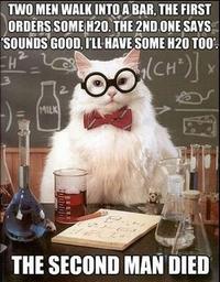 Creator Unknown / via "FYeah Chemistry Cat":http://fyeahchemistrycat.tumblr.com/post/9385218692 