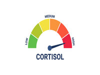 Cortisol Level / Cortisol Spike meme image.