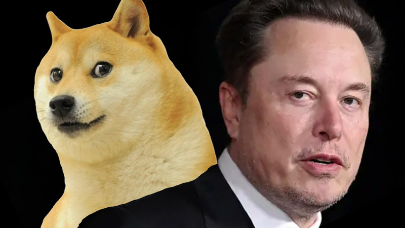 The history of Elon Musk and Doge depicting an image of the man and the Shiba Inu from the meme.
