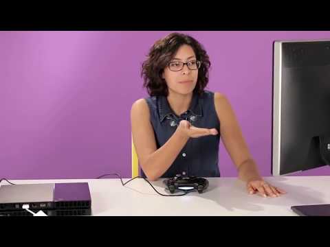 the male fantasy