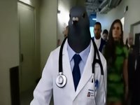 AI Pigeon Doctor Walking Down Hallway
