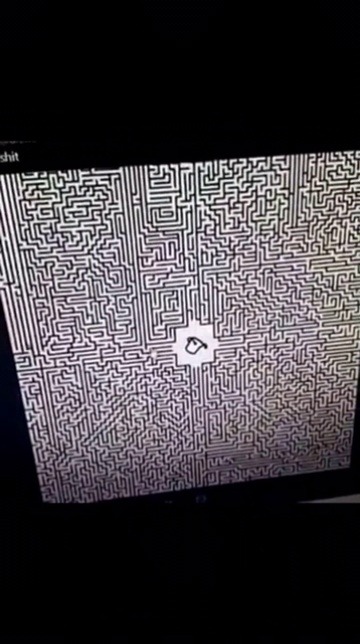 Maze