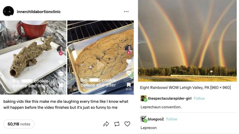 innerchildabortionclinic
Big cookie
before and after
Big BS cookie
before and after
35.5K
baking vids like this make me die laughing every time like I know what
will happen before the video finishes but it's just so funny to me
Eight Rainbows! WOW Lehigh Valley, PA [960 × 960]
thespectacularspider-girl Follow
Leprechaun convention.
bluegoo2 Follow
50,118 notes
D♡
Leprecon